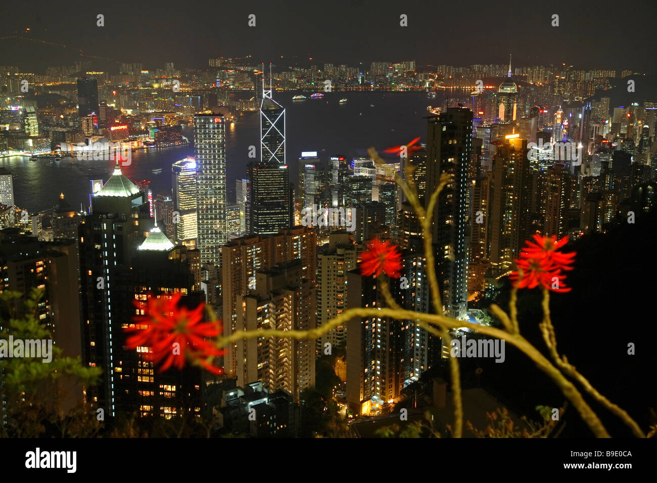 Cityscape of Hong Kong at night, China Stock Photo
