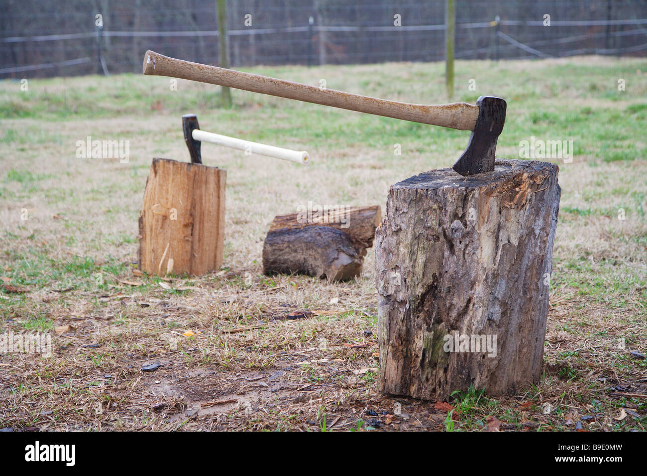 TWO AXE STUCK IN TREE STUMPS SPLITTING LOGS BEHIND HUNTING LODGE Stock