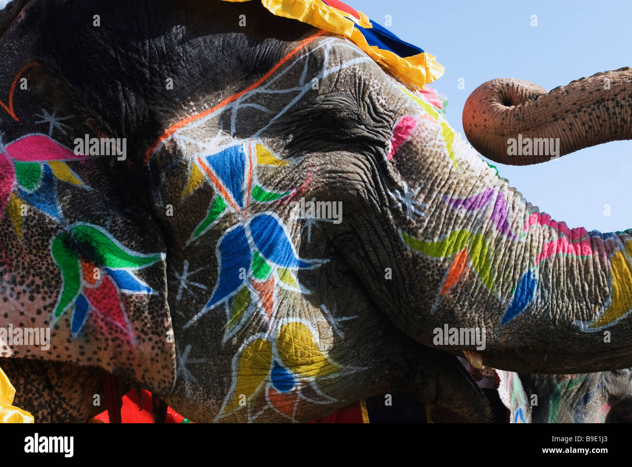 Elephant festival india painted hires stock photography and images Alamy