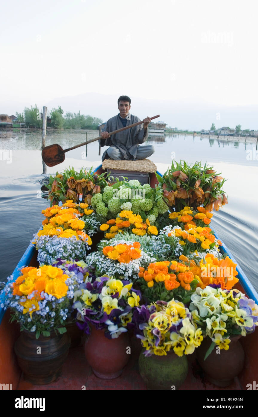 Multi plants one pot hires stock photography and images Alamy