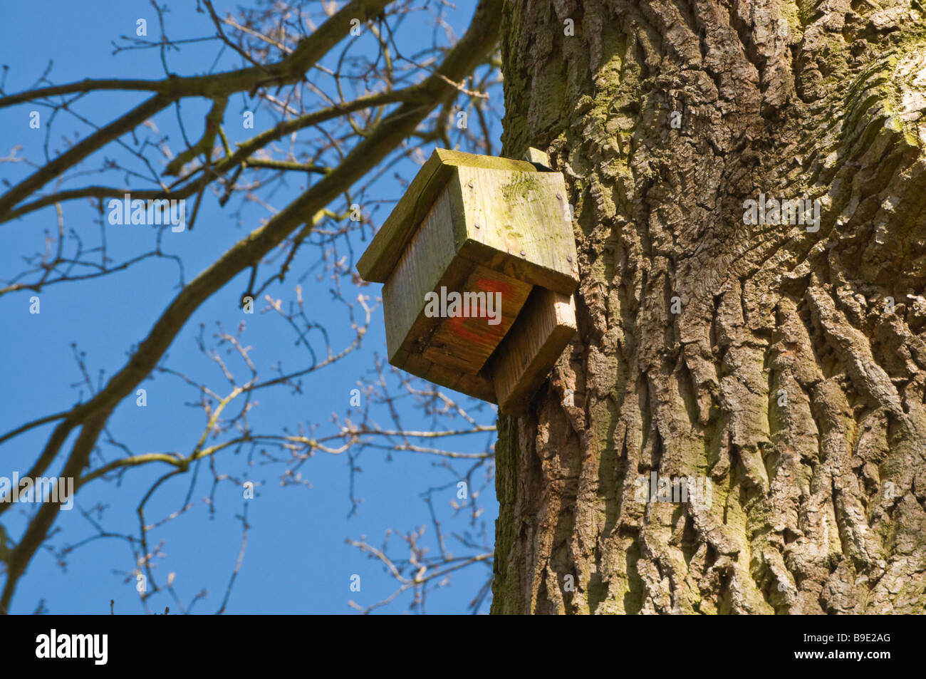 Nest Box designed for Treecreepers (Certhia familiaris) Stock Photo