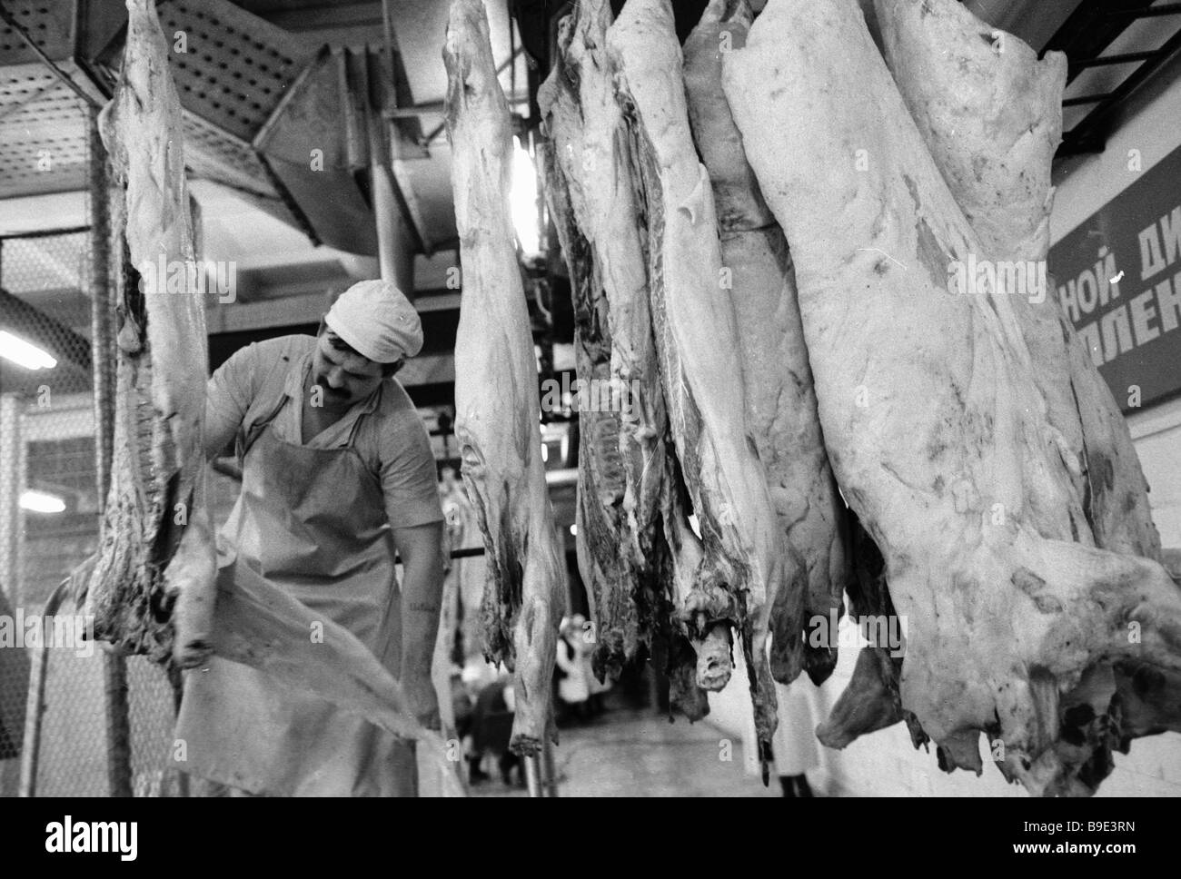 Ramensky meat processing plant Stock Photo Alamy