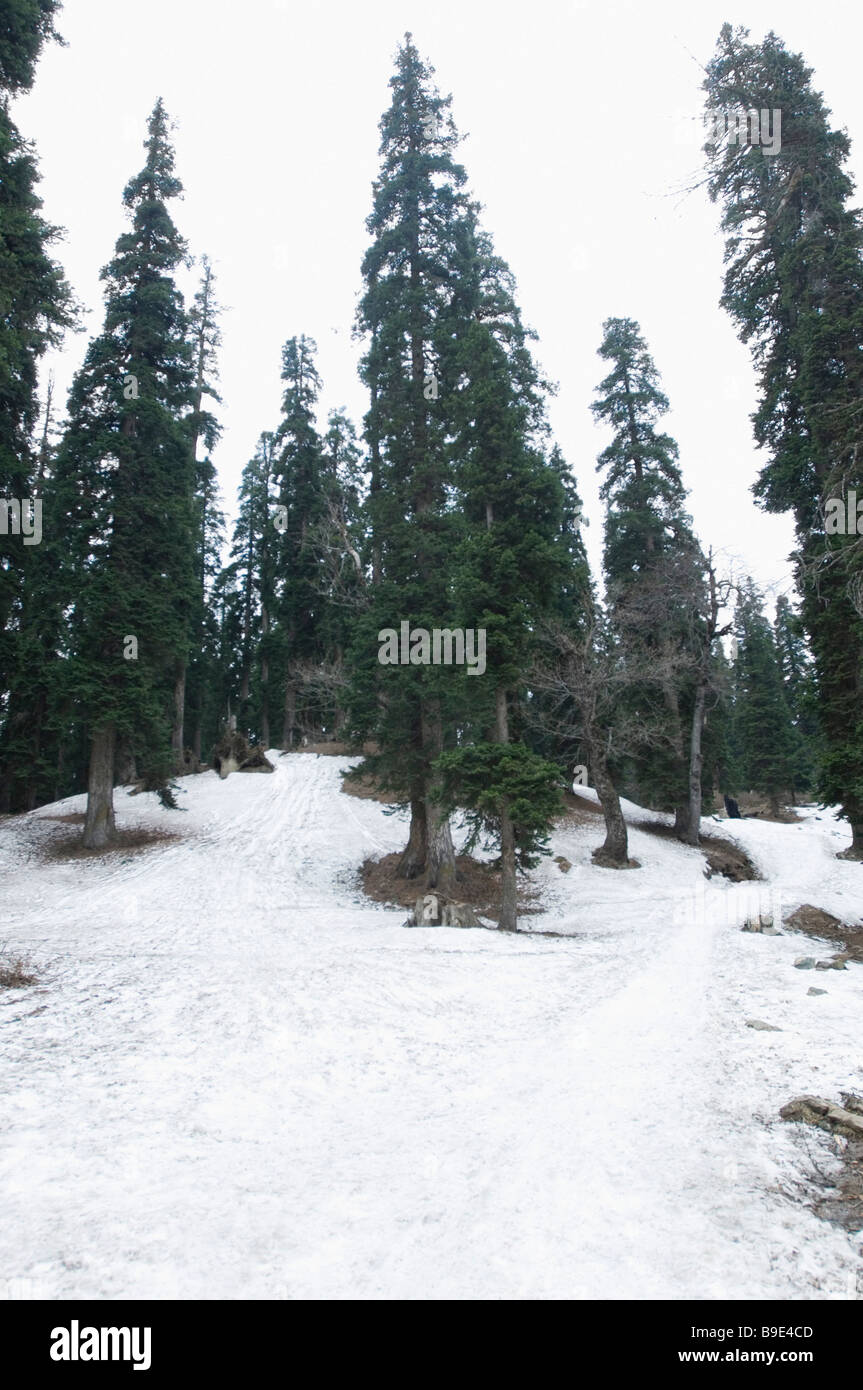 Khilanmarg india hires stock photography and images Alamy