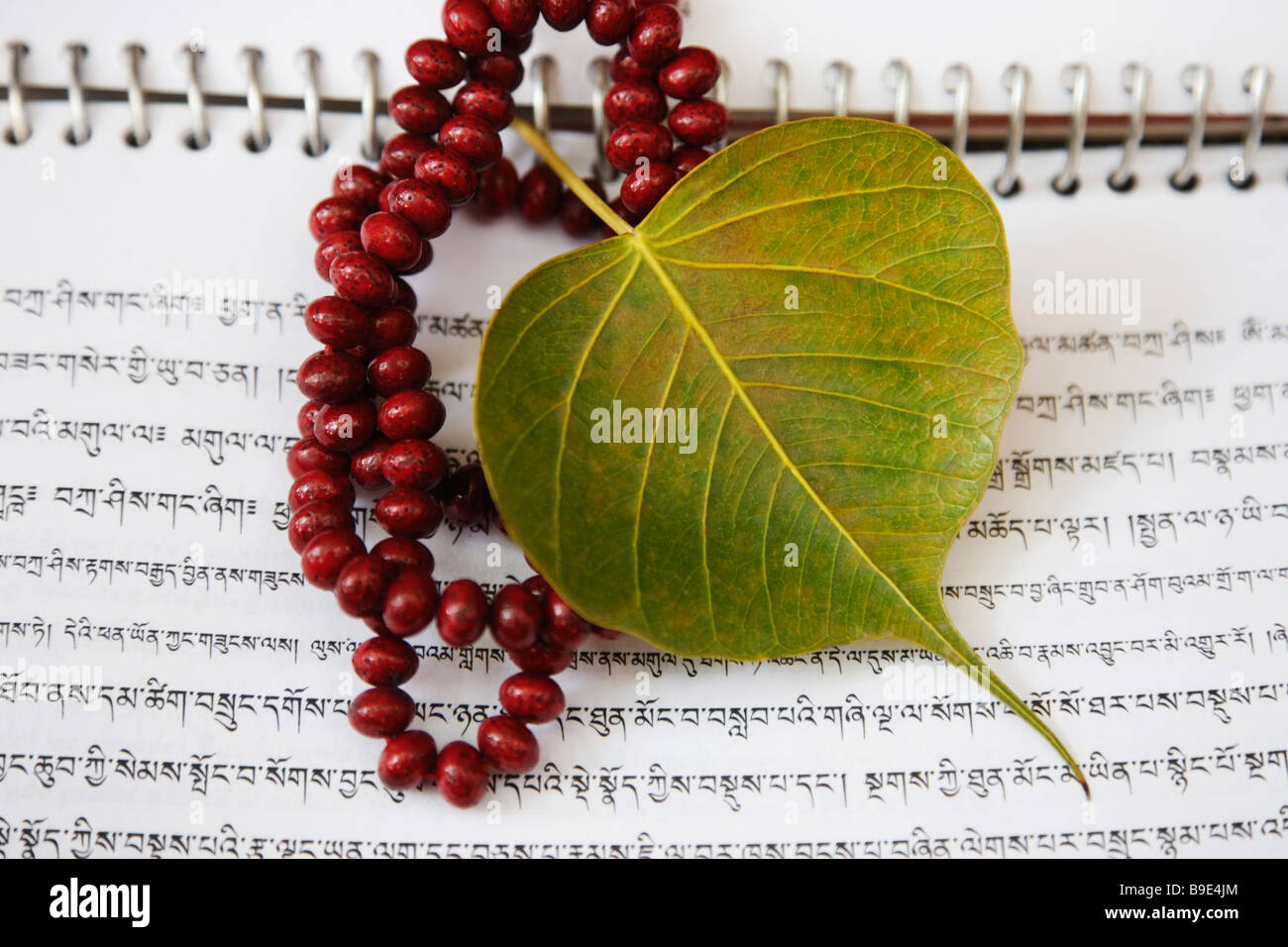 Praying beads with a pipal leaf on a book, Mahabodhi Temple, Bodhgaya, Gaya, Bihar, India Stock Photo