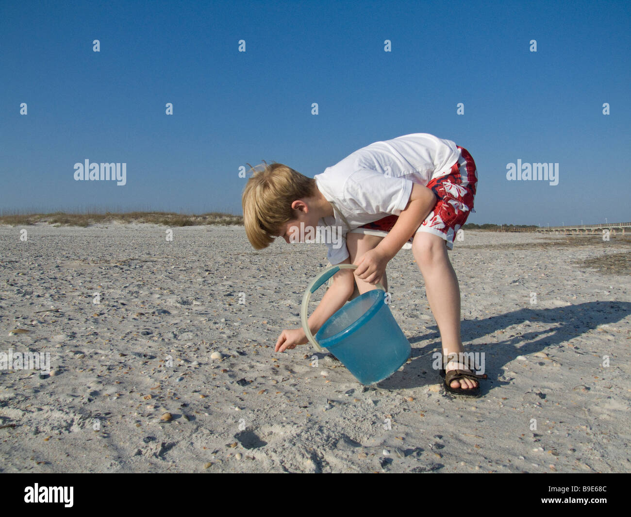 Boy on beach collecting shells hires stock photography and images Alamy