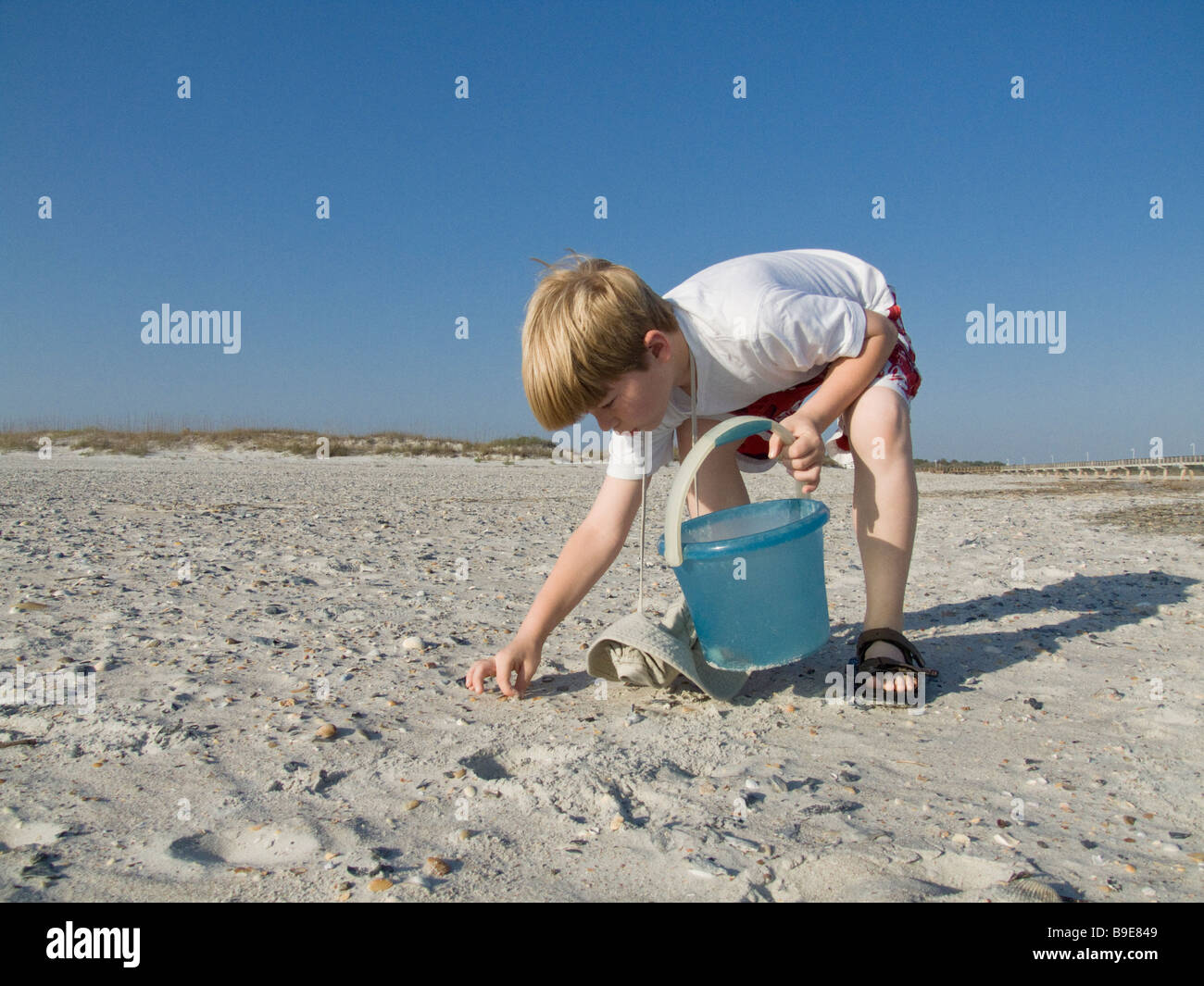 boy on beach with bucked collecting shells Stock Photo