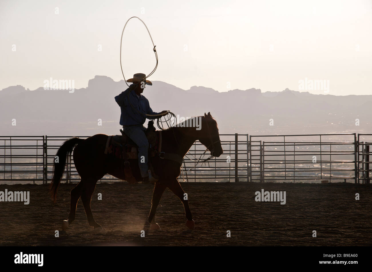 Silhouette cowboy with lasso on horseback Golden Valley Kingman Arizona USA Stock Photo