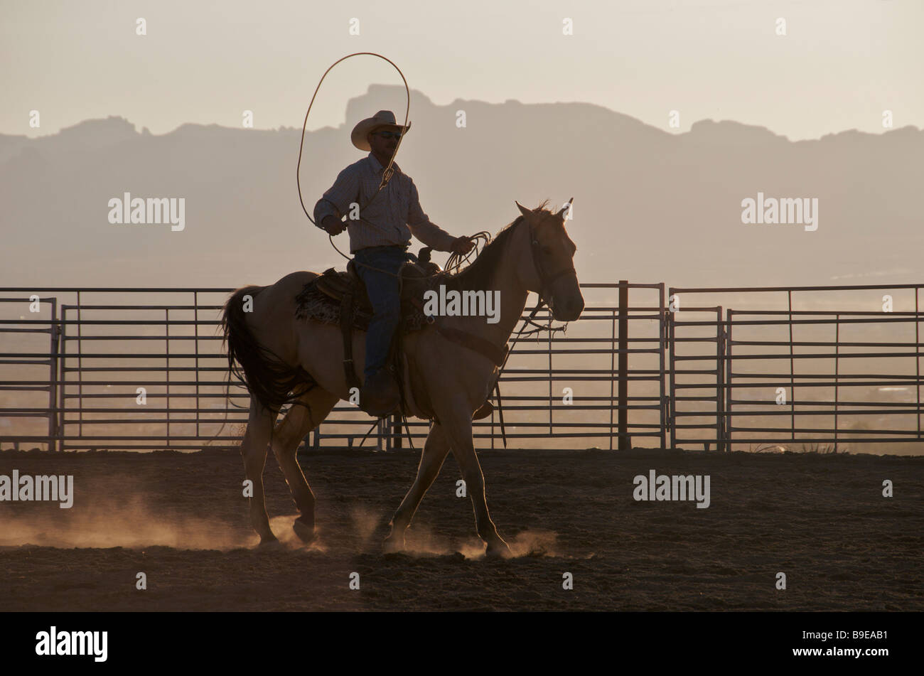 Silhouette cowboy on horse with lasso Golden Valley Kingman Arizona USA Stock Photo