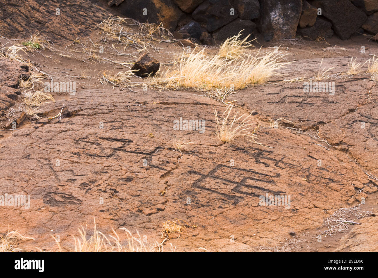 Puako Petroglyphs - Mauna Lani Resort, Kohala Coast, Big Island, Hawaii, USA Stock Photo
