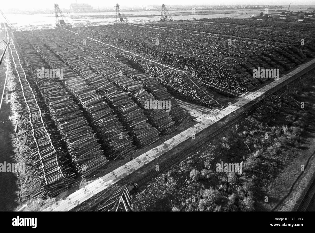 Lumber at the Timber Exchange in Arkhangelsk Stock Photo Alamy