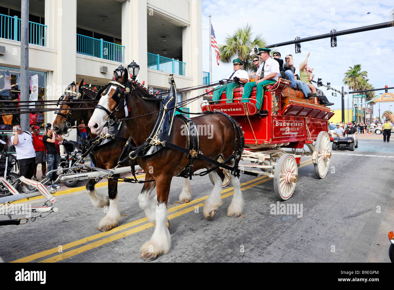 Budweiser Clydesdales Daytona Beach Florida Biker Week motorcycle