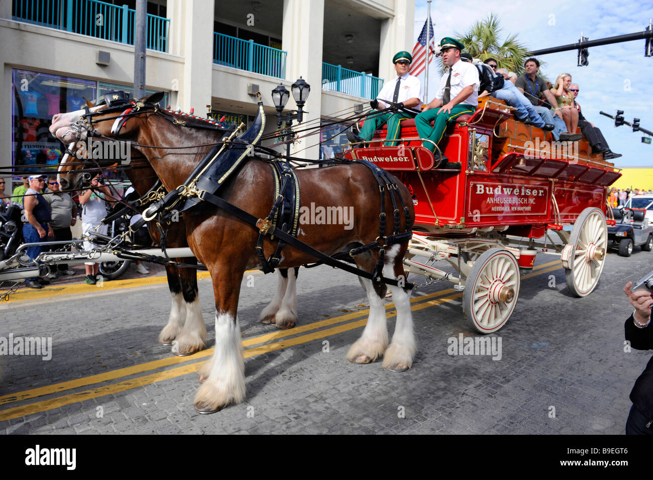 Budweiser Clydesdales Daytona Beach Florida Biker Week motorcycle