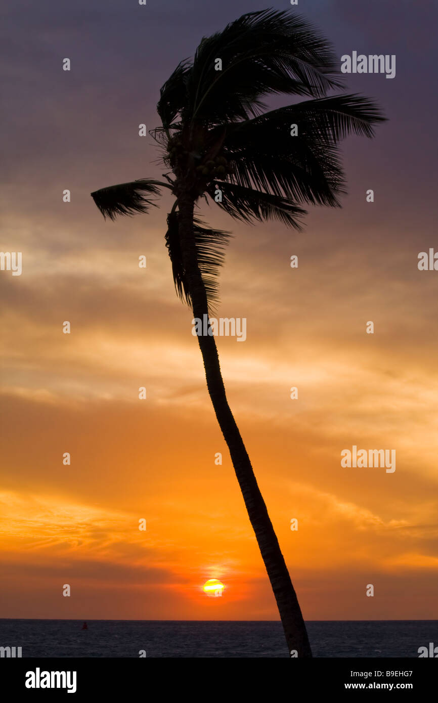 Sunset on the beach - Kawaihae Harbor, Kohala Coast, Big Island, Hawaii, USA Stock Photo