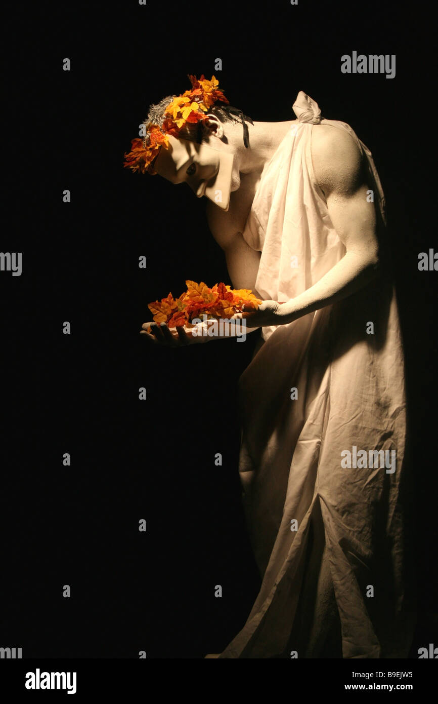 mime flower orange Stock Photo Alamy