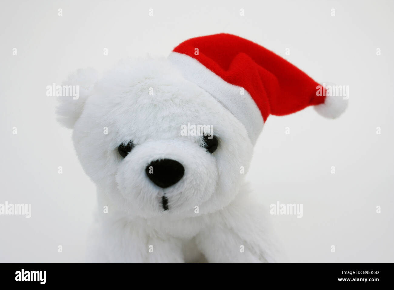 Polar bear soft cuddly toy hi-res stock photography and images - Alamy