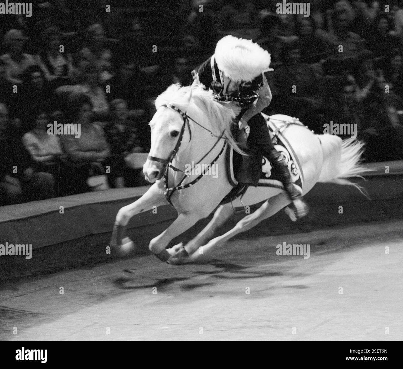 Алибек кантемиров. Кантемировы цирковая династия. Ирбек алибекович кантемиров. Хасанбек кантемиров. Алибек кантемиров джигит.