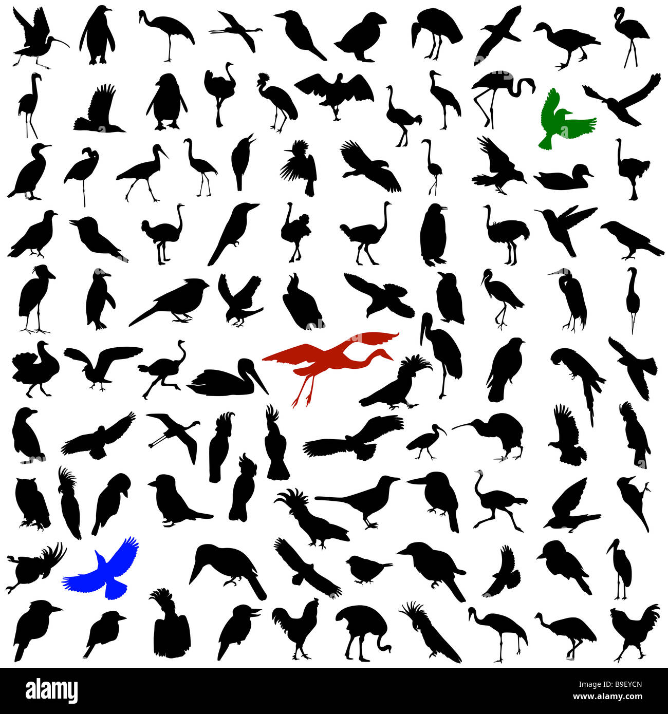 Hundred silhouettes of birds Stock Photo