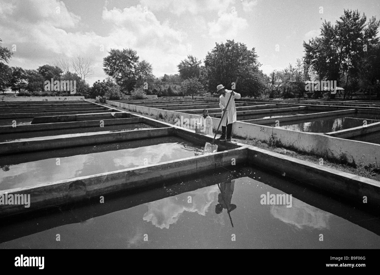 Fish farm Azerbaijan Stock Photo Alamy