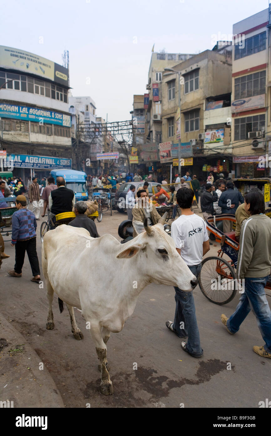 Chawri market hires stock photography and images Alamy