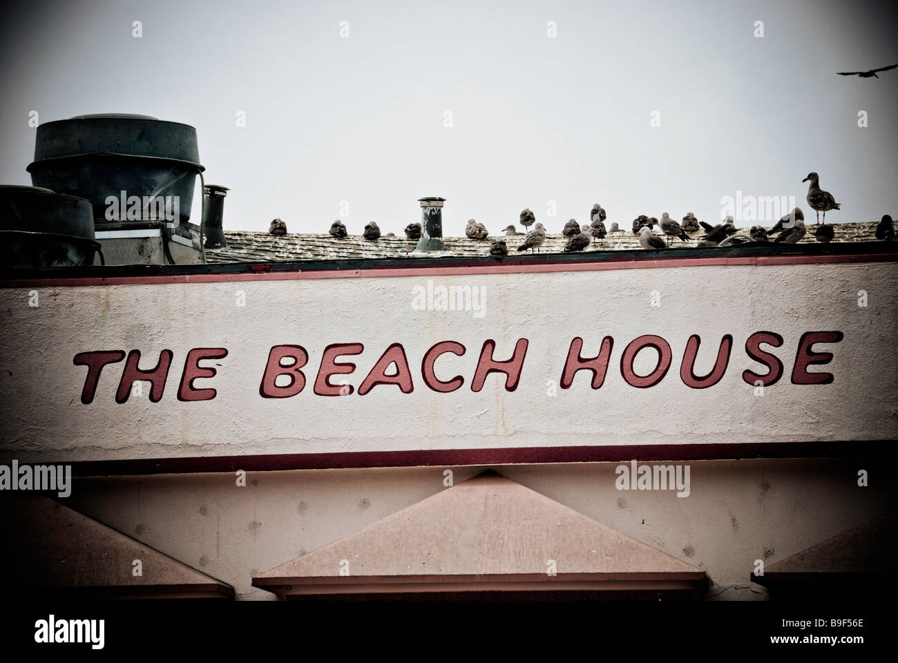 A seafood restaurant in Capitola California is home to hundreds of seagulls. Stock Photo