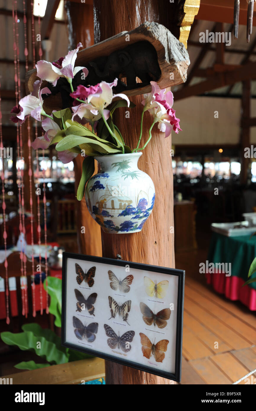 A framed selection of butterflies in a tourist shop off the island of Phuket Thailand Stock Photo