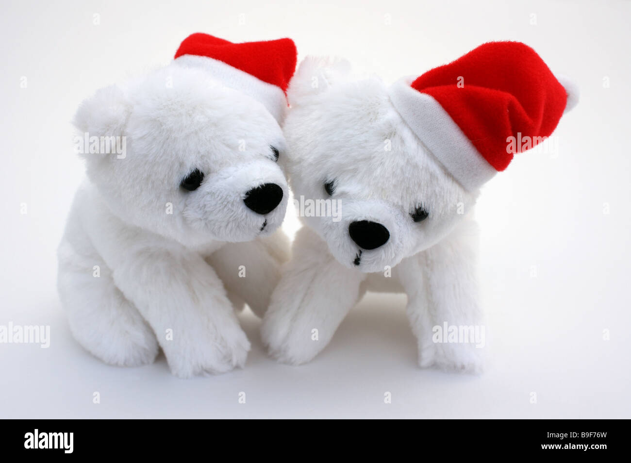 Polar bear soft cuddly toy hi-res stock photography and images - Alamy