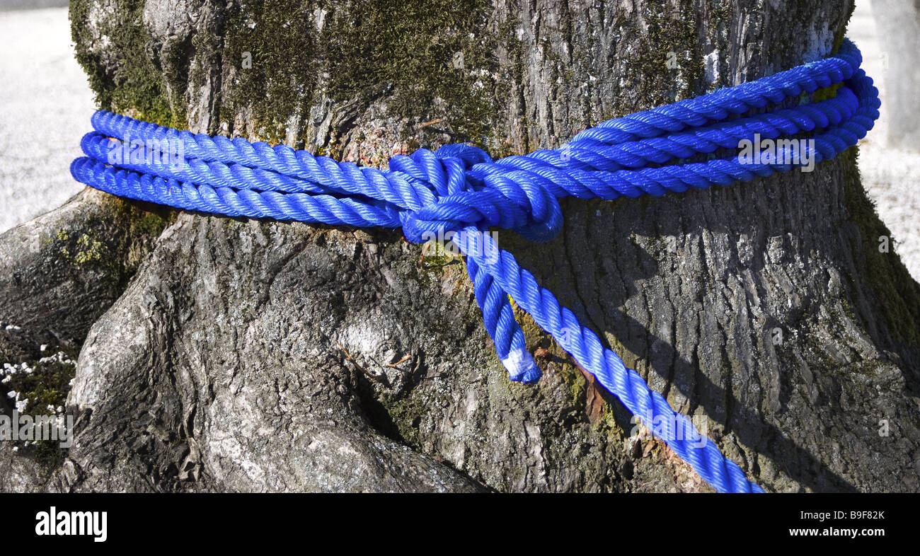 Log rope blue fortifies knots tree trunk detail loop dew flirted ...