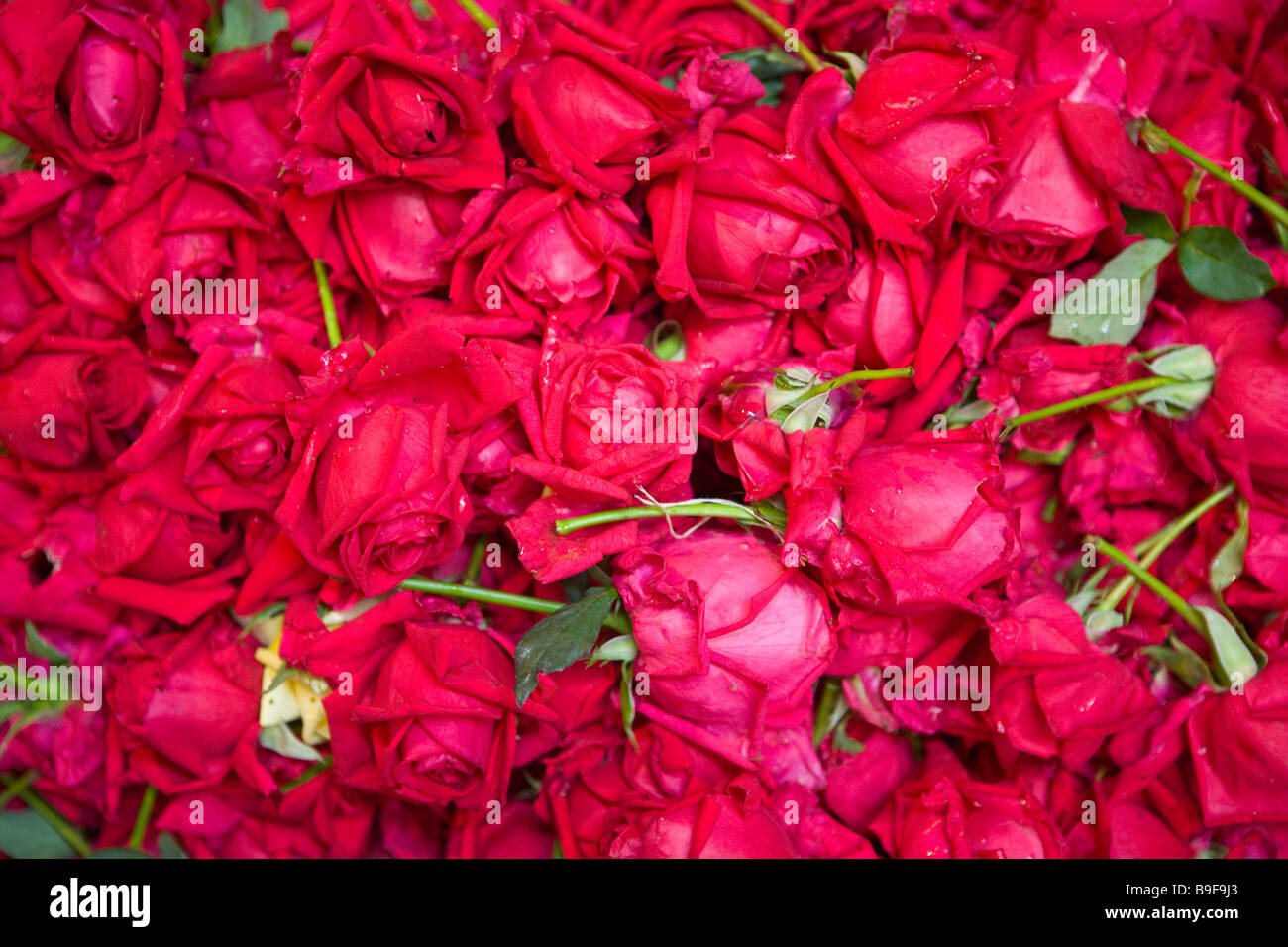 Market flowers hires stock photography and images Alamy