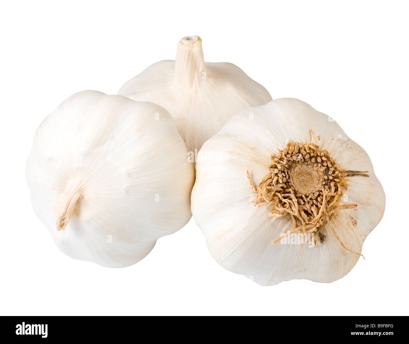 vitamin garlic bulb group isolated on white background (with path) Stock Photo