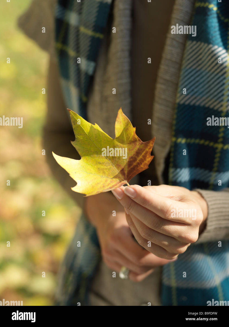 Mid section view of woman holding leaf in park Stock Photo