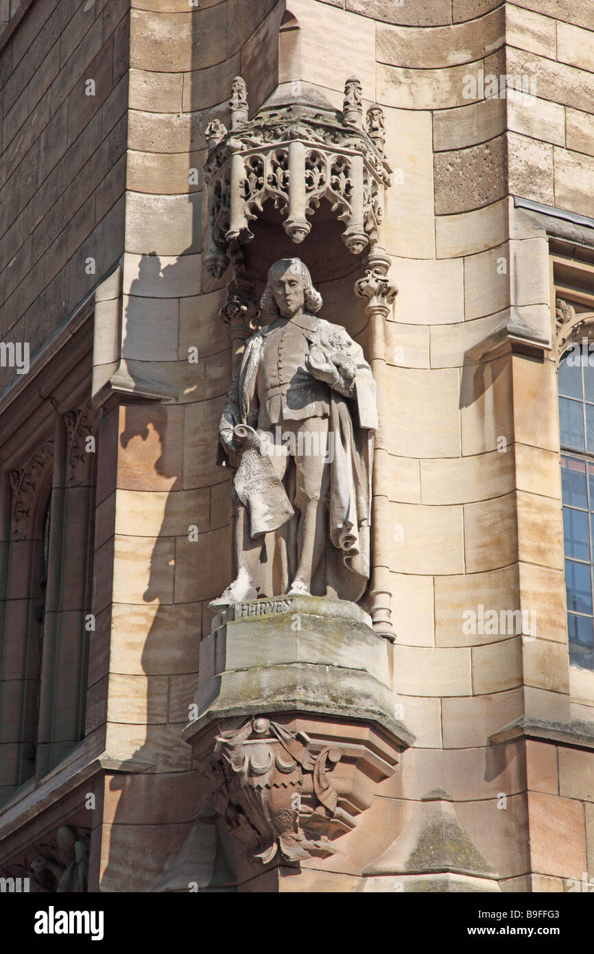 carving Cambridge city England Stock Photo Alamy