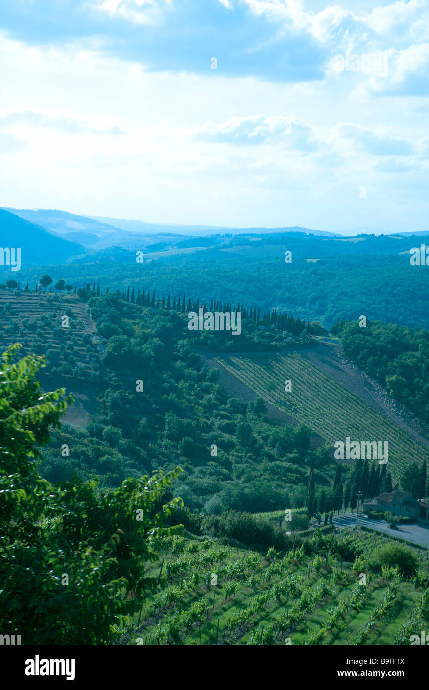 Overlooking vineyards in Tuscany Italy Stock Photo