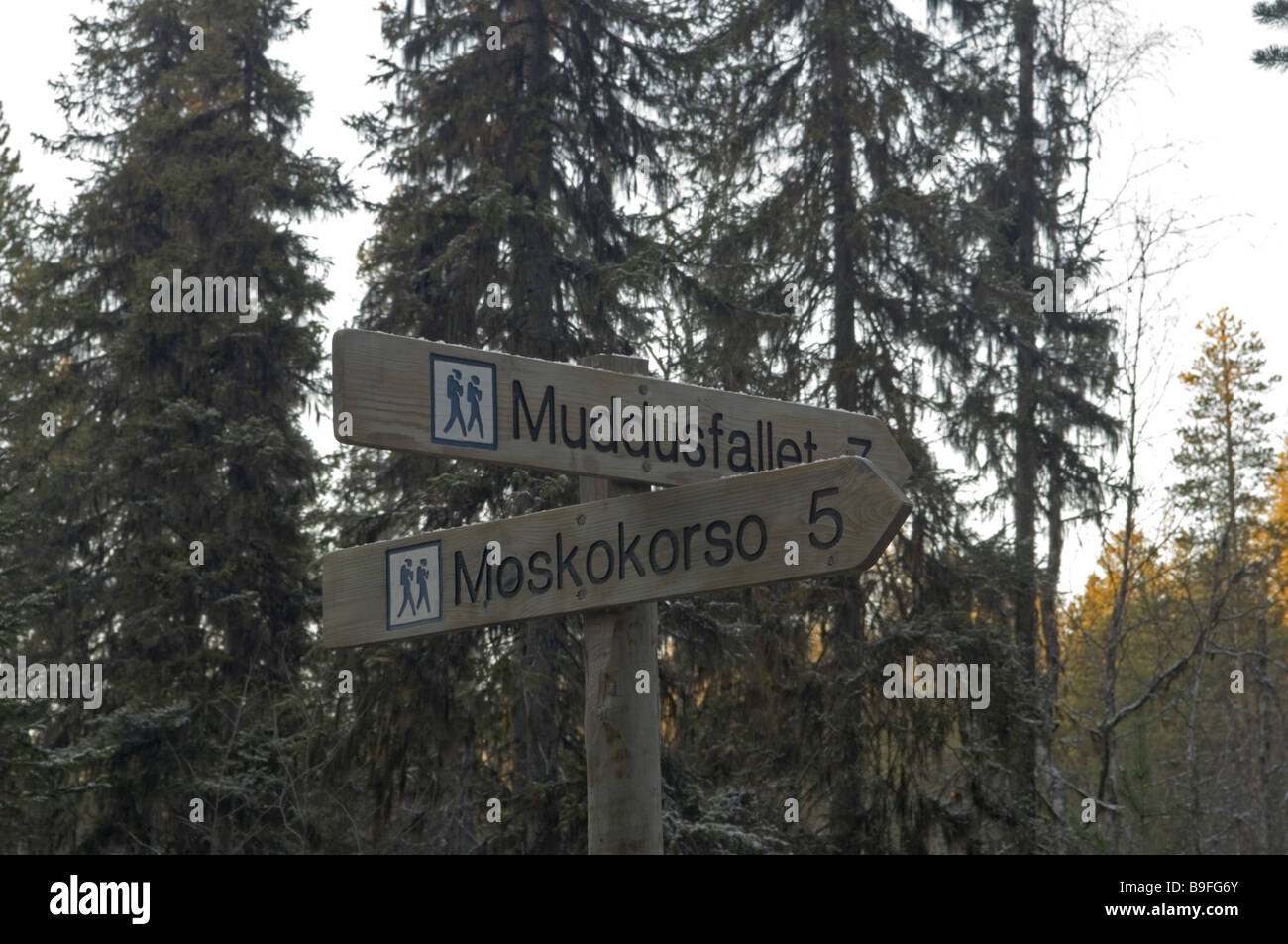 Sweden Muddus National park direction sign Stock Photo