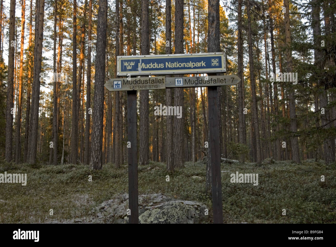 Sweden Muddus National park signs direction sign Stock Photo