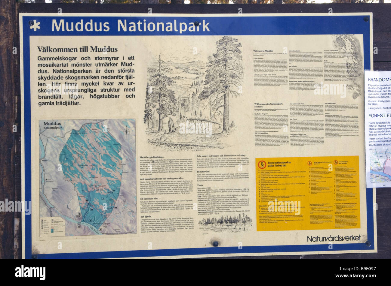 Sweden Muddus National park sign information Stock Photo
