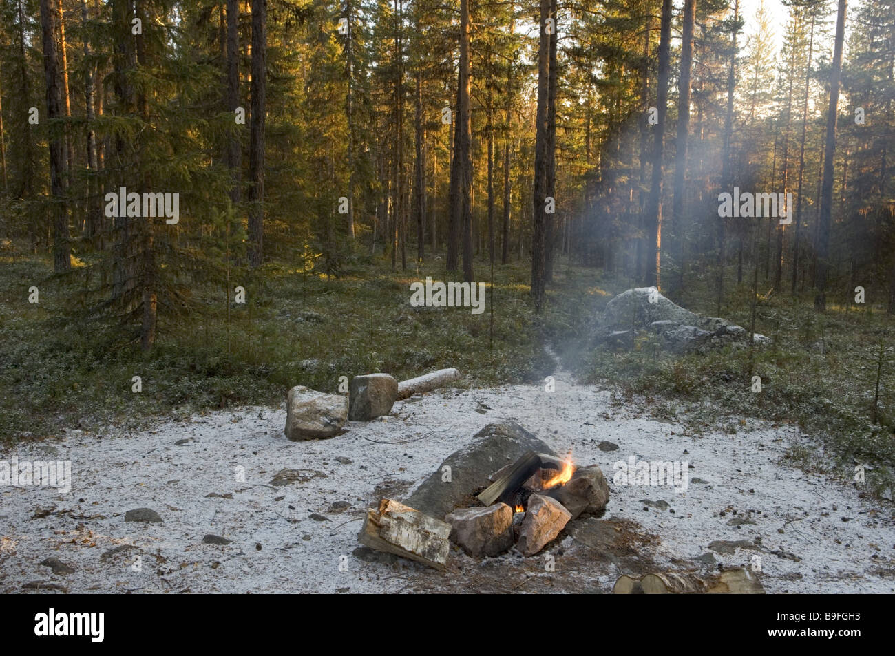 Sweden Muddus National park forest hearth late-night-autumn  Isolation burning trees loneliness fires hearth flames frost Stock Photo