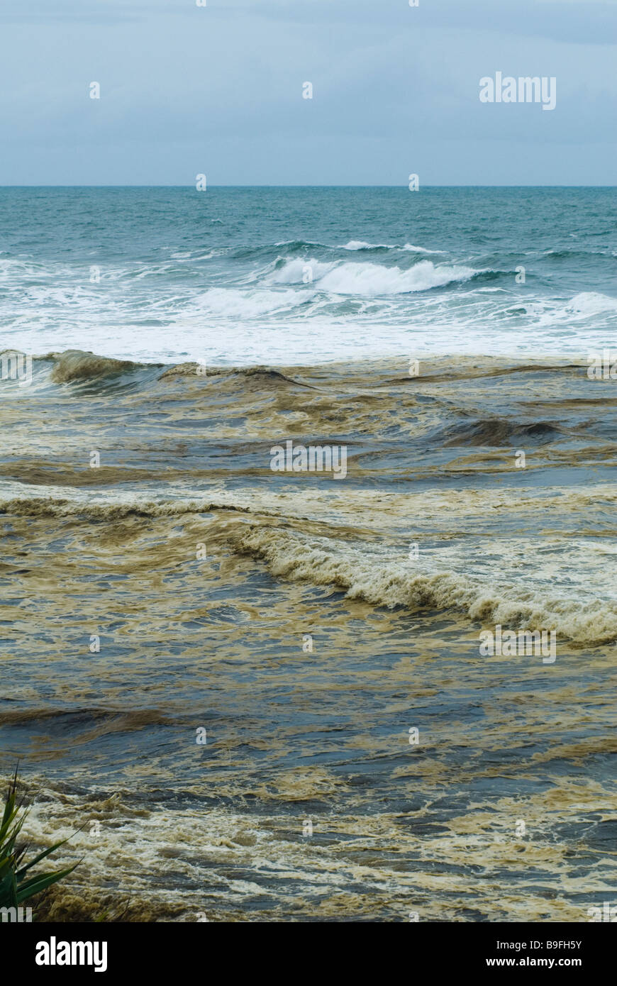 oil pollution on beach emulsified oil and water in surf. Pacific Adventurer disaster queensland 2009  Wednesday, 11 March , 2009 Stock Photo