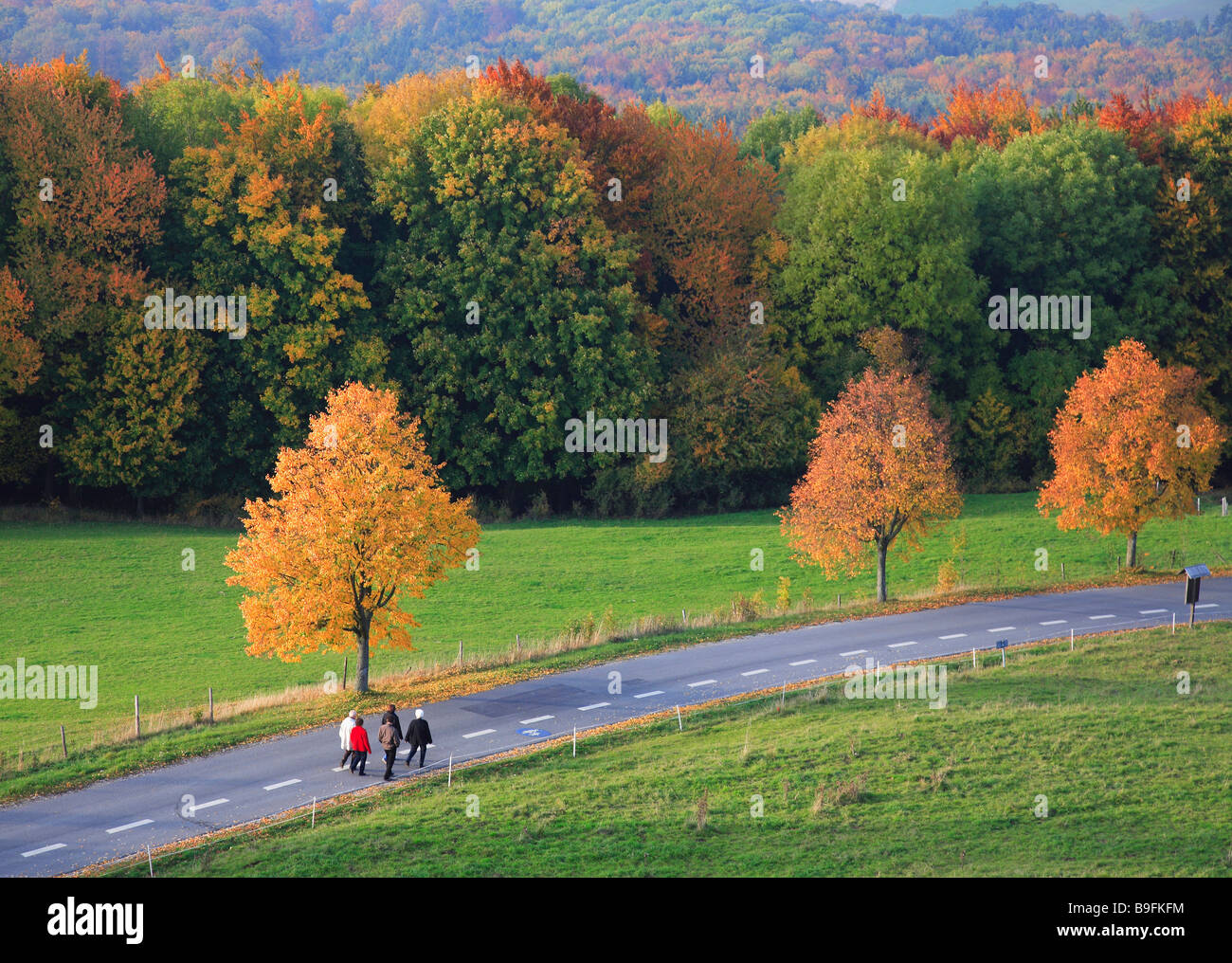 Autumnscene with street in Upperfrankonia Bavaria Germany Stock Photo