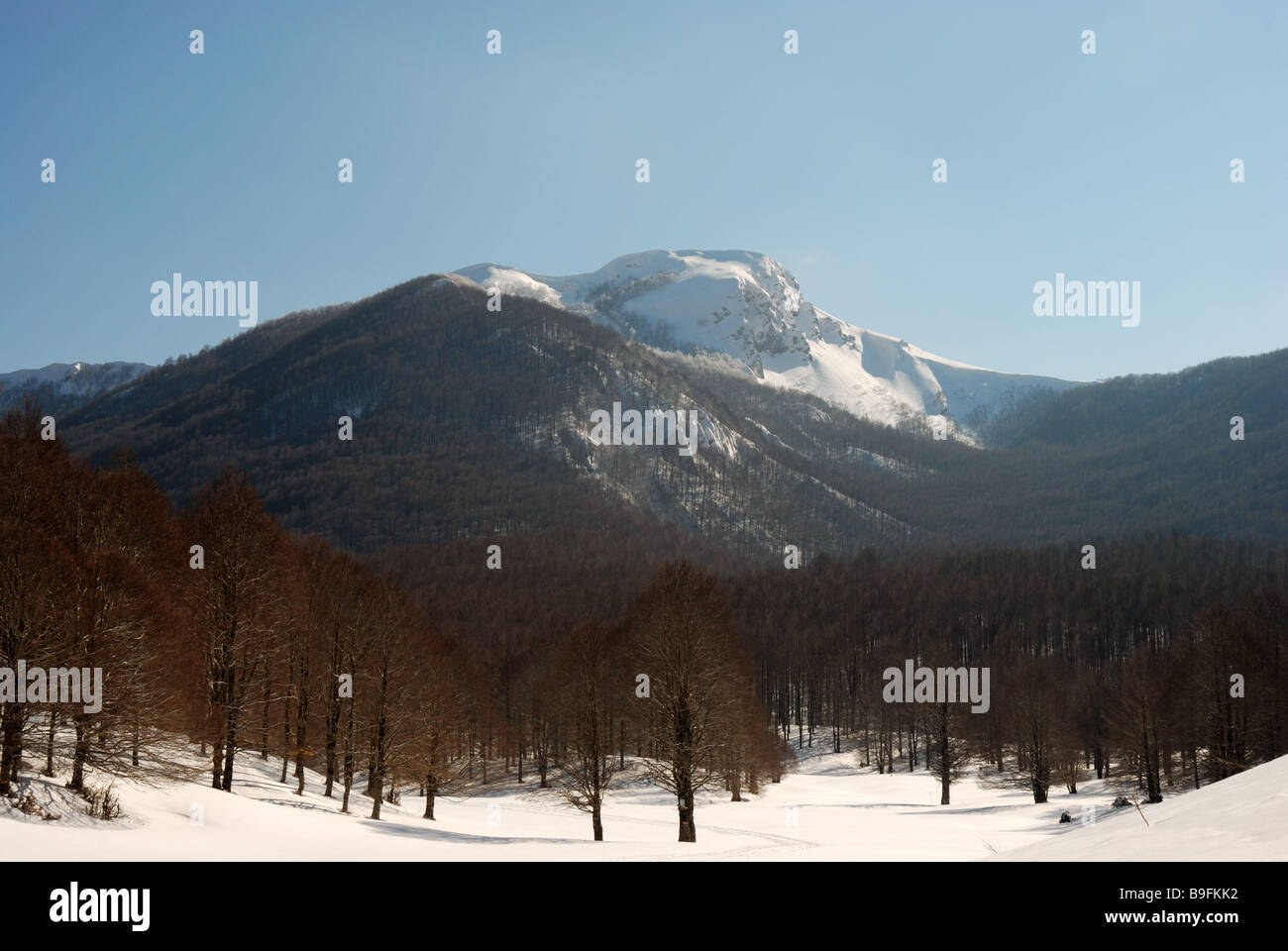 Mount Tarino in Hernici Mounts, Apennines (Italy) Stock Photo