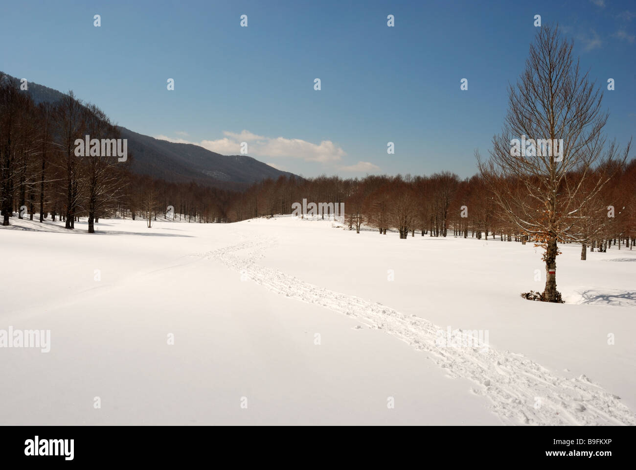 Glade in Hernici Mounts, Apennines (Italy) Stock Photo