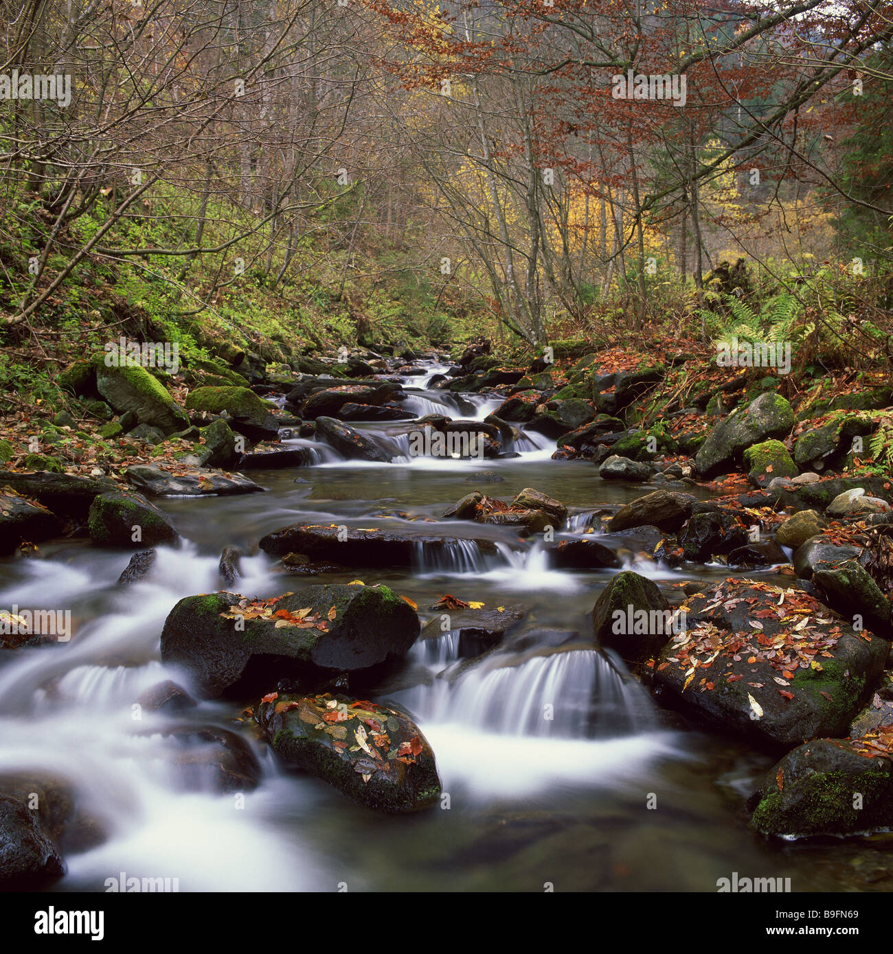 Mountain stream autumn colors hi-res stock photography and images - Alamy