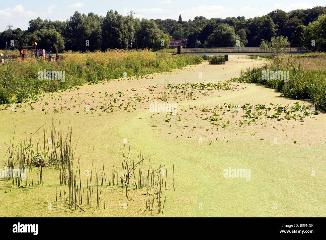 River Trent, Burton on Trent, Staffordshire Stock Photo