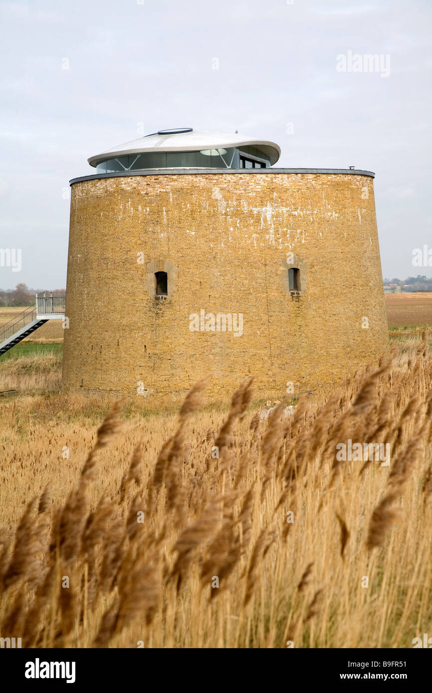 Martello tower Y in the marshes Bawdsey Suffolk England Stock Photo Alamy