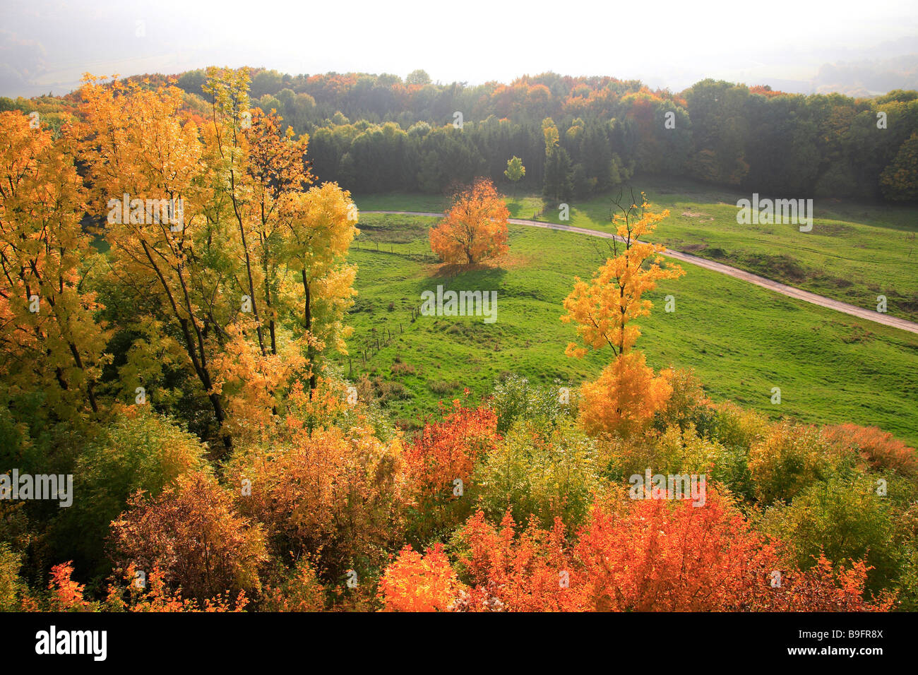 Autumnscene in Upperfrankonia Bavaria Germany Stock Photo