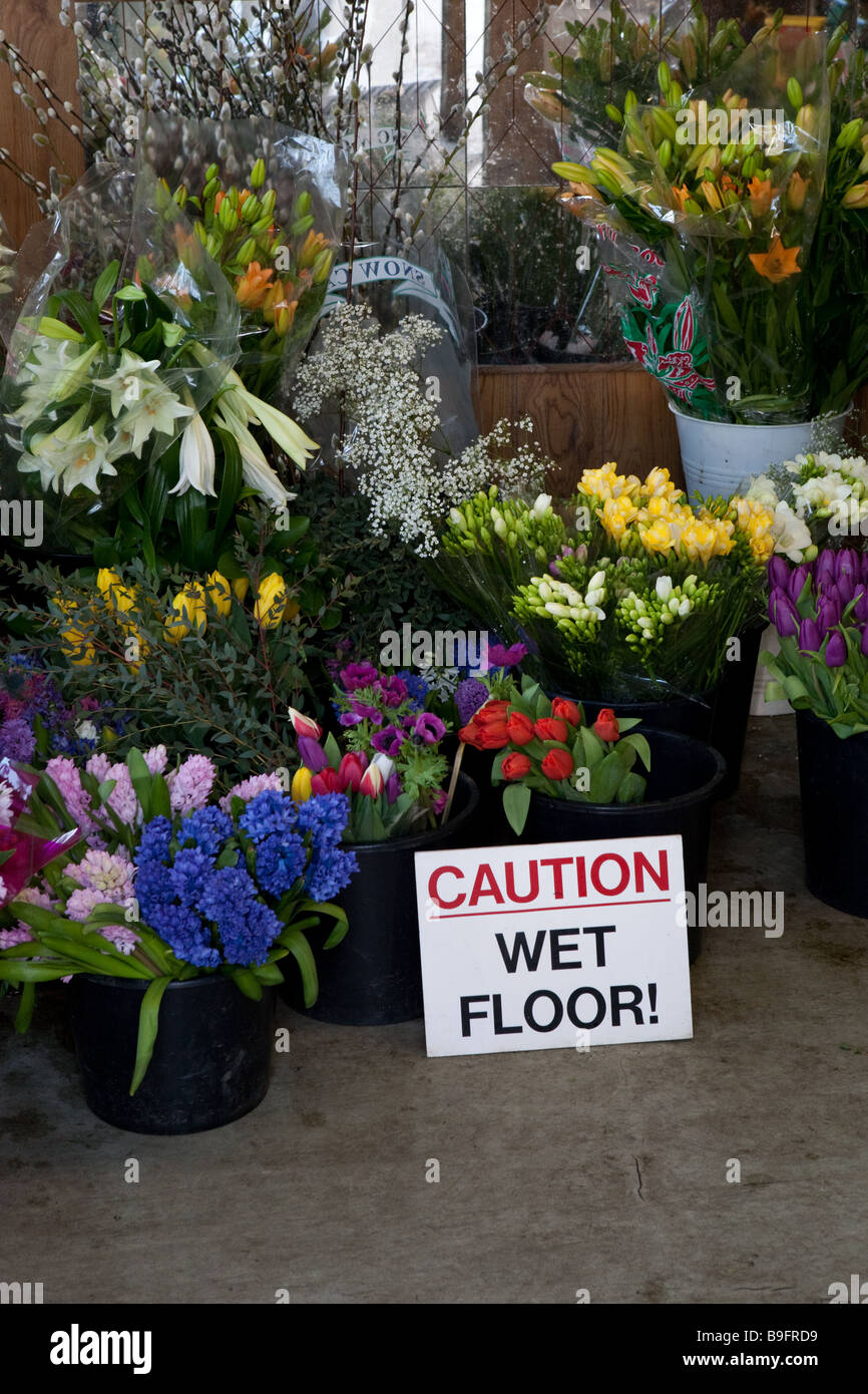 'caution - wet floor' sign surrounded by flowers in florist shop. Property release may be available. Stock Photo