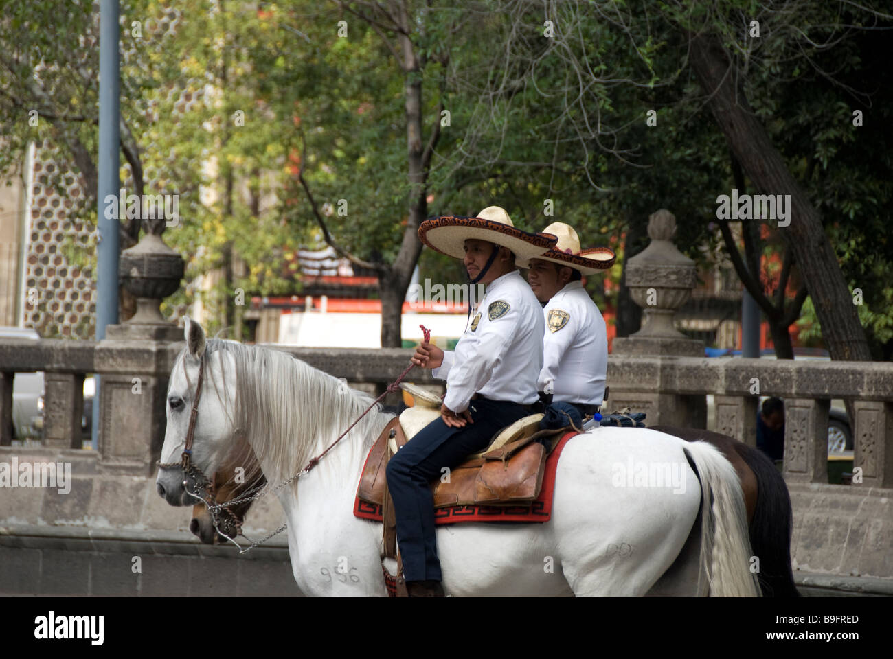 Mexico city, street shots, policemen Stock Photo
