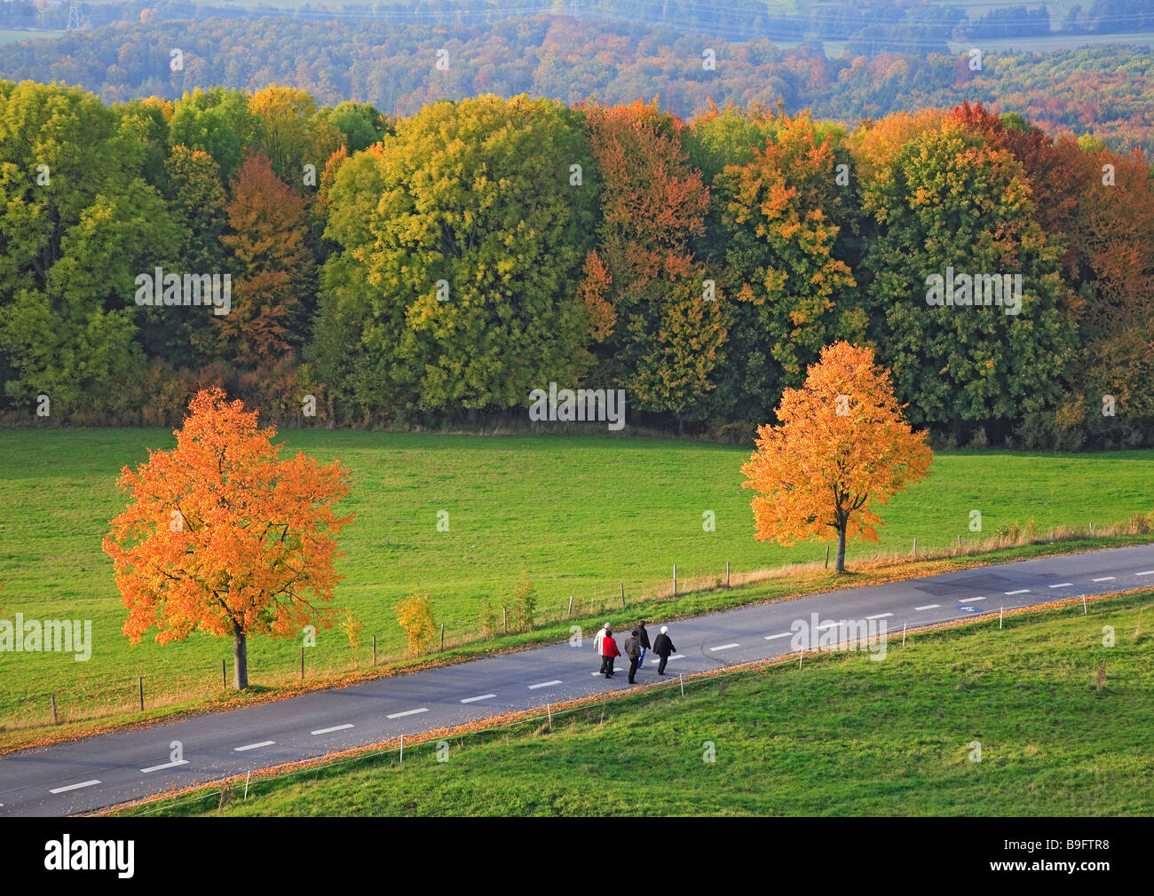 Autumnscene with street in Upperfrankonia Bavaria Germany Stock Photo