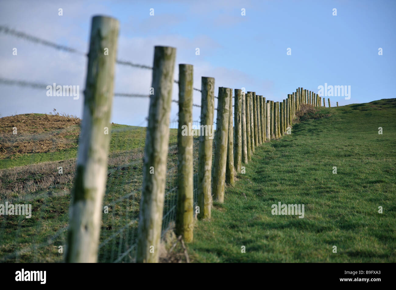 Fence posts with middle focus Stock Photo