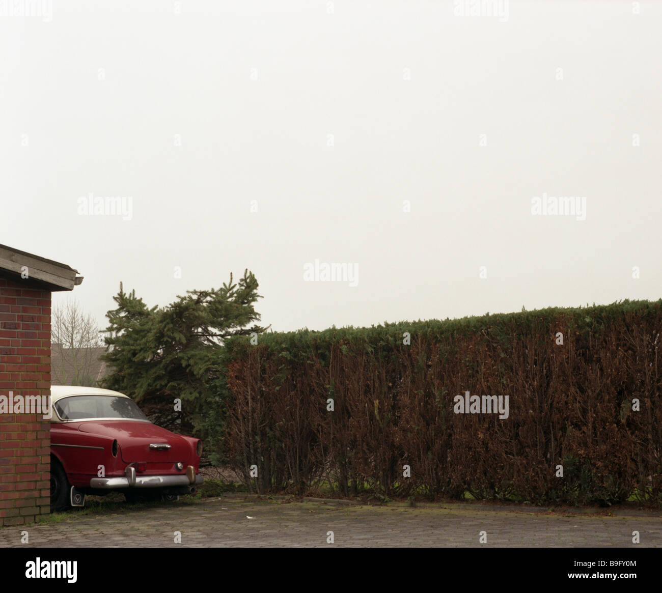 Parked property buildings hedges car Stock Photo Alamy
