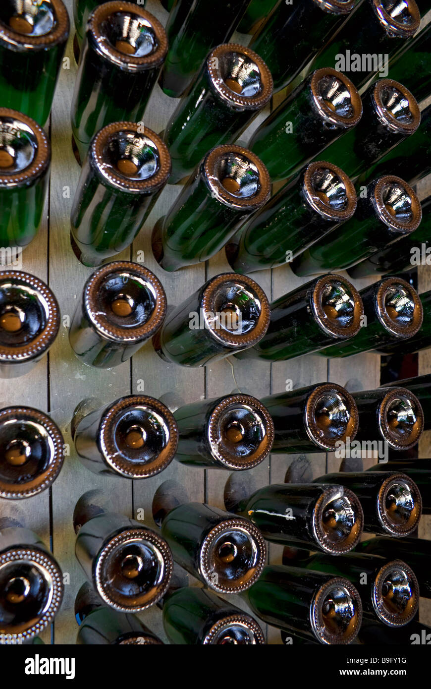 Cider bottles in a rack forming a pattern, taken on a farm in Normandy